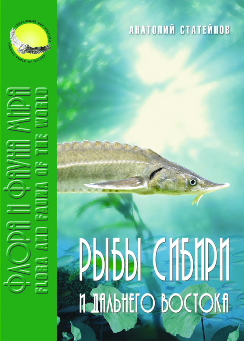 Рыбы Сибири и Дальнего Востока